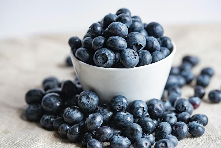 Massachusetts Blueberry Season Fast Approaching