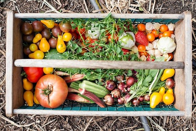 Maura Healey Slammed By MassGOP For Letting Local Food For Schools Program Die 