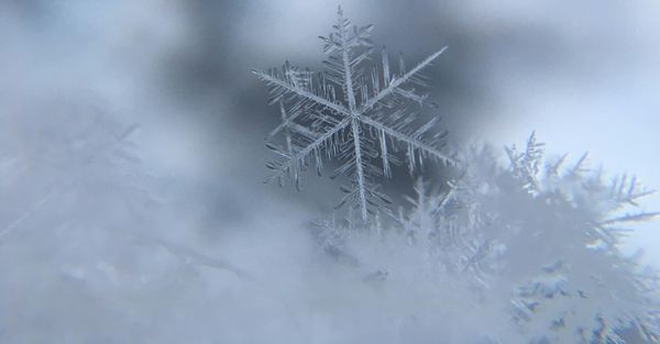 You Want The Original Snowflake Test?  Here It Is