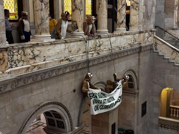 Climate Protesters Dressed as Sloths Shut Down Beacon Hill Budget Debate