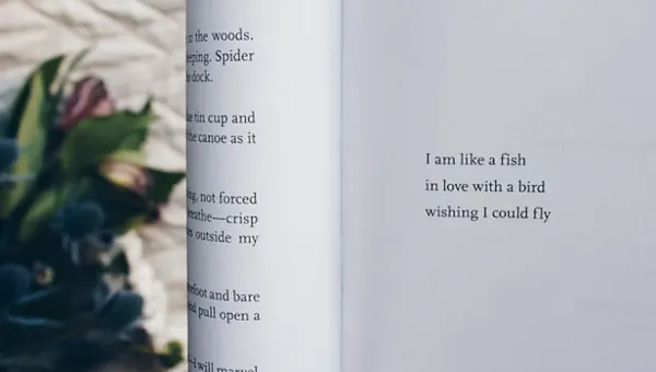 Boston Names New Taxpayer-Funded Poet Laureate