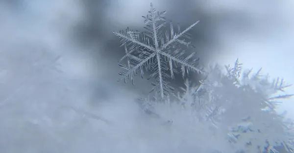 You Want The Original Snowflake Test?  Here It Is