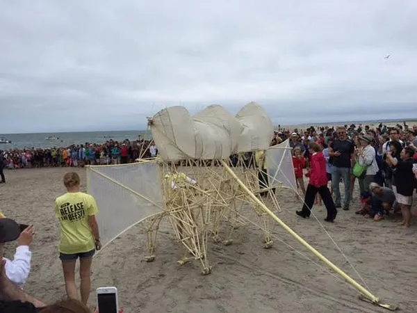 Futuristic Strandbeests make American debut in Ipswich