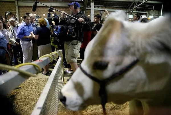 Rubio’s slow start in Iowa, New Hampshire puzzles GOP