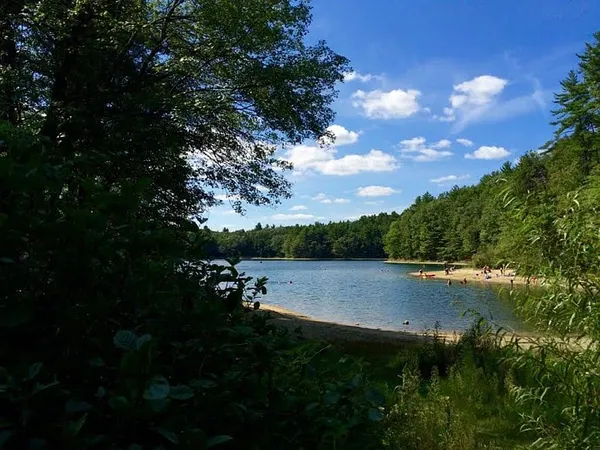 Peace, calm and wisdom for all at Walden Pond