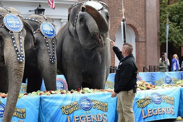 Boston Globe As Arbiter of Republicanism?  Not the Real Diehl