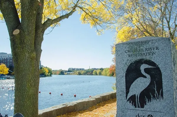 WATCH: Get to know Moody Street in Waltham