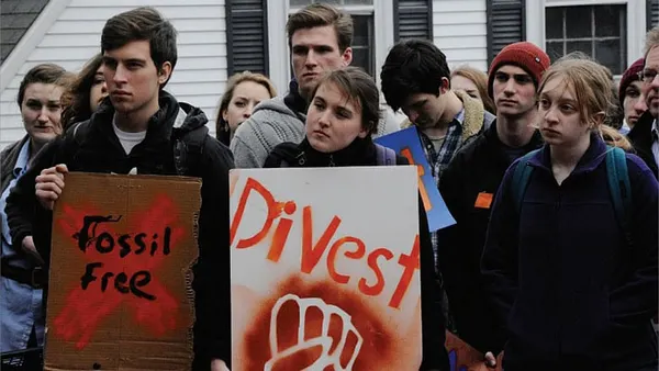 Divestment follies