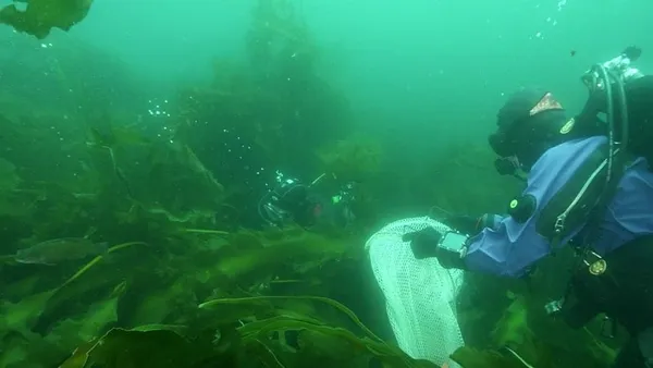 Obama won’t name Cashes Ledge an undersea monument