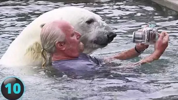 Why do people risk their lives – or the lives of others – for the perfect selfie?