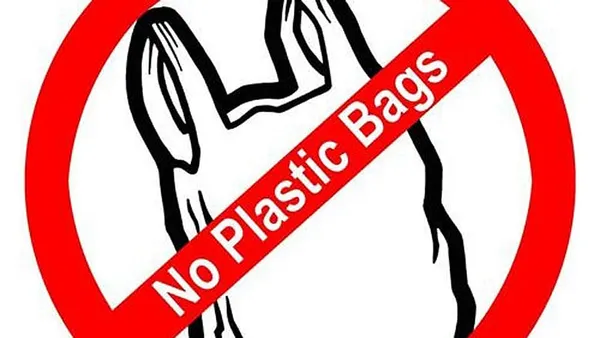 Plastic bag ban could become Massachusetts law