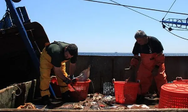 Fishing captains turn to digital tools to meet monitoring mandate