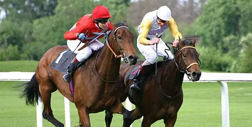 What it takes to become a Thoroughbred