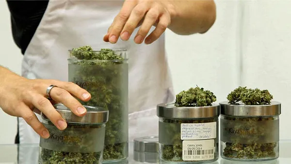 Mass. doc fined in connection with medical marijuana practices in Maine