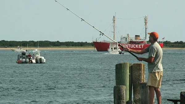 UMass awarded patent with implications for fish monitoring