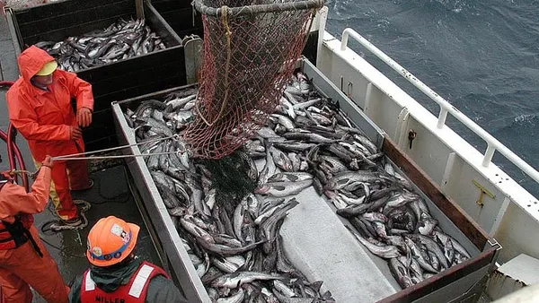 The federal government is making fishermen pay for on-board babysitters