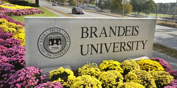 Transgender Athlete Competing In Fencing At Brandeis University
