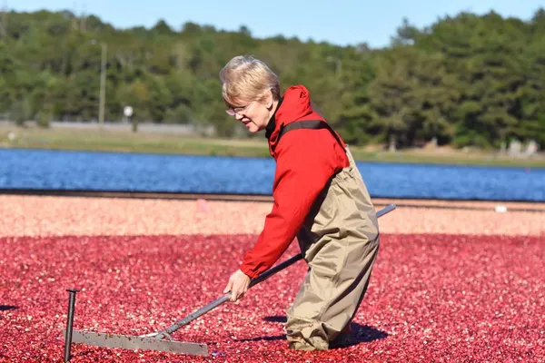 On Campaign Speech, Constitution Supports Mark Zuckerberg Over Elizabeth Warren