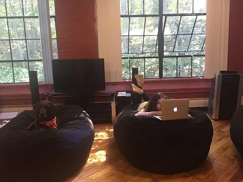 What It’s REALLY Like Working For An Entrepreneur  (Hint: Buckle Up)