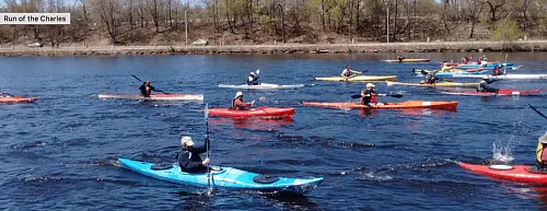 Behind the Charles River Cleanup Lies a Surprising Story