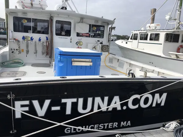 Federal Agency Closes Cod Fishing In Gulf Of Maine