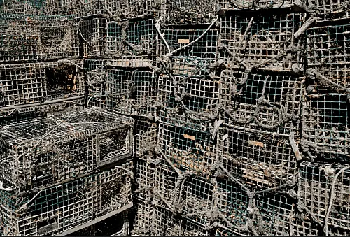 PETA Renews Request for Roadside Memorial To Lobsters