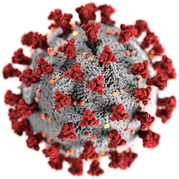 Massachusetts Coronavirus Deaths Rare For Most Age Brackets