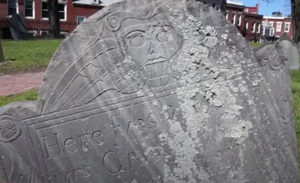 Couple In Quandary Over Missing Gravestone Found in Double Tree In Their Back Yard