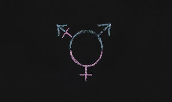 Harvard Athletics Department Shows ‘Inconsistent Engagement With Queer Inclusion,’ Student Newspaper Reports