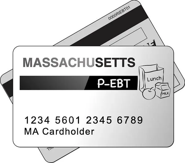 Stop & Shop Now Accepting EBT Cards For Online Purchases