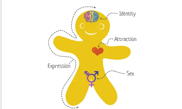 Sharon Using Genderbread Person To Teach 11-Year-Olds That There Are Infinite Genders