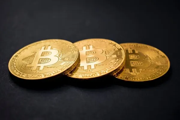Elizabeth Warren Finds Common Ground With Donald Trump — On Bitcoin