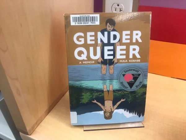 What’s It About?  Describing  Gender Queer, Book At Center of Great Barrington School Flap