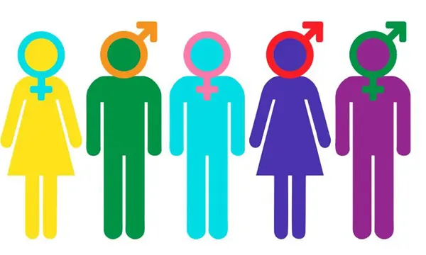 Greenfield Community College Considering Dropping Gender and Women’s Studies Major