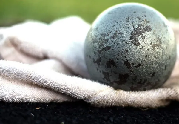 Connecticut Transgender Shot Putter Takes Bronze At Girls’ State Championship Meet