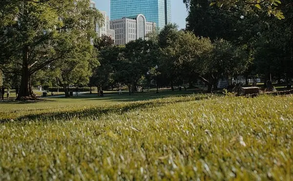 Topless Rights Activist Planning Boston Protest Compares Fight To Rosa Parks