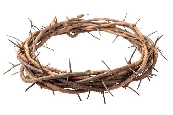 Why Jesus Wore A Crown of Thorns On Good Friday