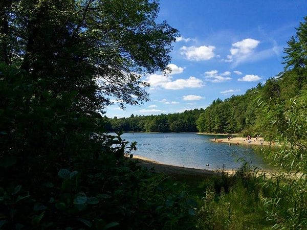 Peace, calm and wisdom for all at Walden Pond