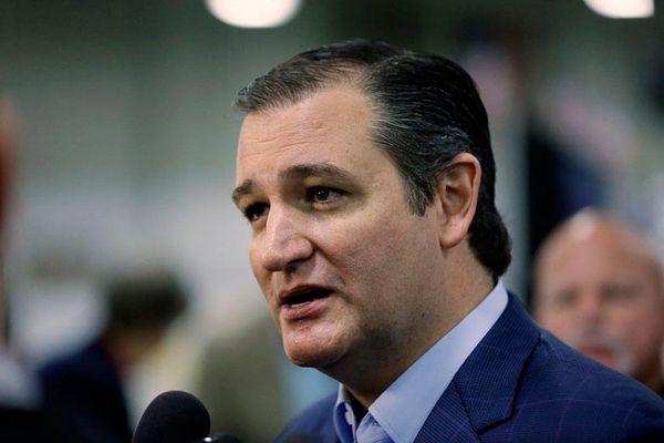 Cruz nets $12 million for presidential bid, Rubio $6 million