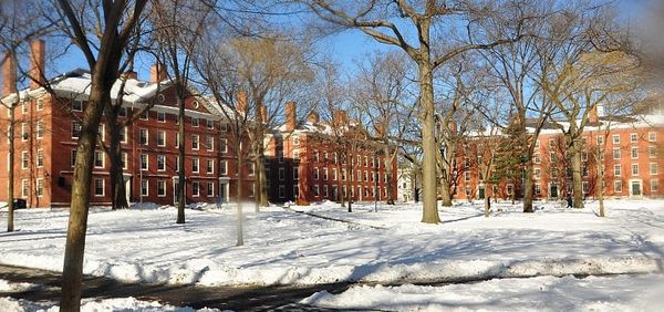 Harvard’s frenetic pace leads students to hook up, not date