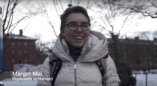 Here’s how denizens of Harvard Yard plan to celebrate an icy Valentine’s Day
