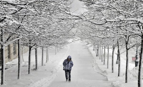 Snow storm may drop 10 inches on Boston, 18 on Cape