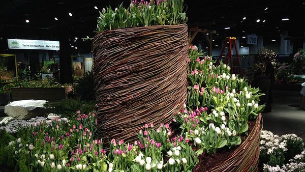 Nurtured by Nature: A look inside the Boston Flower and Garden Show