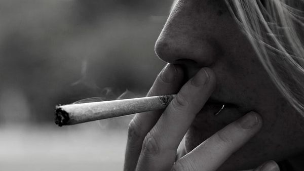 Pot group going on TV, plans August funder