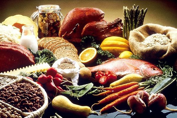 Obesity, fatty foods, death and science