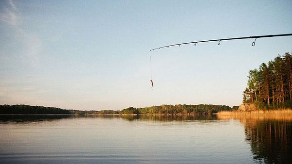 Vermont To Offer Free Hunting and Fishing Licenses … If You’re The Right Race