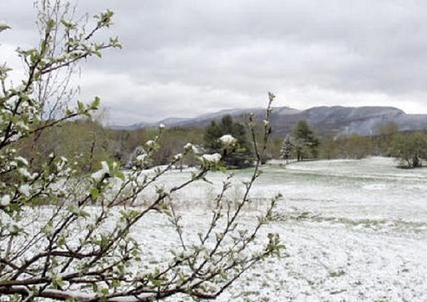 Snow coats parts of Northern New England, Massachusetts