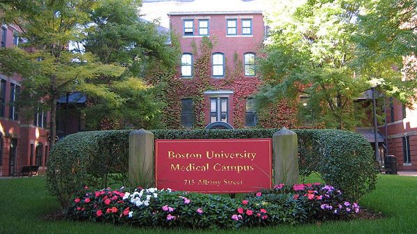 Study: Breast, ovarian cancer may be linked in origin