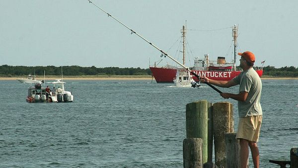 UMass awarded patent with implications for fish monitoring