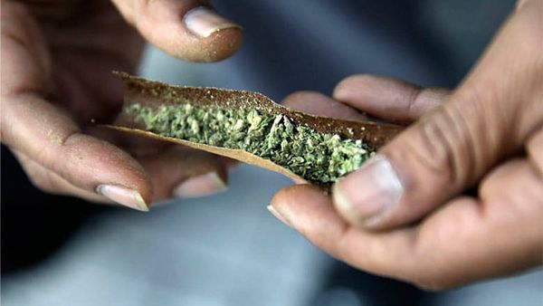 DEA declines request to reclassify marijuana, citing its ‘high potential for abuse’